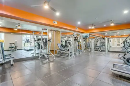 161774 408407 T80w9Vo2ri01mJamoiYQKNDhaF RCXZm4QftTSOCA6U 6864f2633696c.jpg