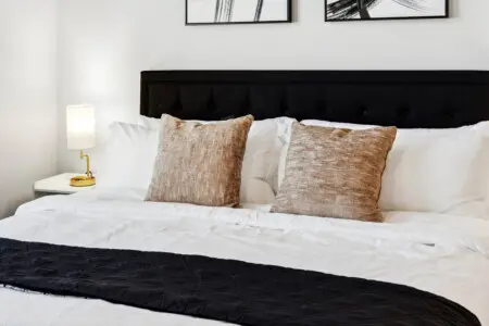 161774 408408 rg g0 o7j4ZV3JHTsEvTrn5RzCqnI9RSRWvbSySxbQM 68645c542b5a0.jpg