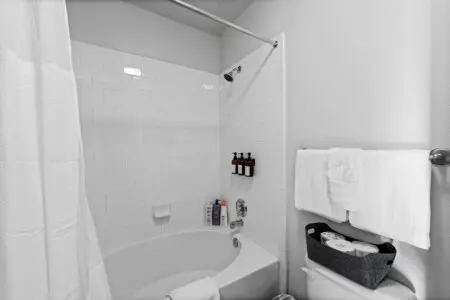 161774 408409 HJNNryo4ekXlDQ2PS2MEFF2lJ KCHlBS55r3 D8QWb8 68645c64c9200.jpg