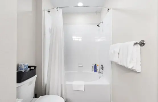 161774 408410 5Zm8XiBYj14Fjn6EdT5ySriIcPfFTuSzEYhDkYEhXkk 68645c29273bc.jpg