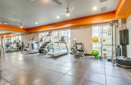 161774 408410 91t UwmtChjal t8D1QGU1J3TmM0wUJi 8icPqxbeLY 68645c0b8ed68.jpg