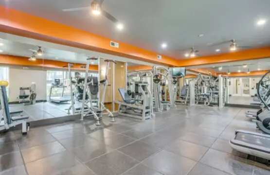 161774 408410 E5qBBA7 VDsn2HyJsGNbmvmG me 5pg lCU8gp3k1Ss 68657e516b809.jpg