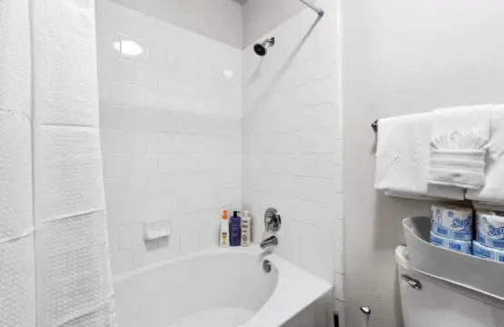 161774 408411 mpPSG42FJCZlwFtiBscQuR8KSxHTbjxkz4x11Up Stg 6864f2373fa70.jpg